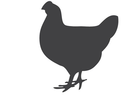 Rooster Chicken Silhouette Clip Art Chicken Png Download 772526