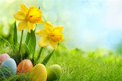 Roses have a universal meaning that makes them ideal as a funeral flower. Yellow Flowers Meaning - Flower Meaning