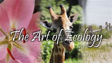 The Art Of Ecology Is Creating Visual Connections To The Natural World