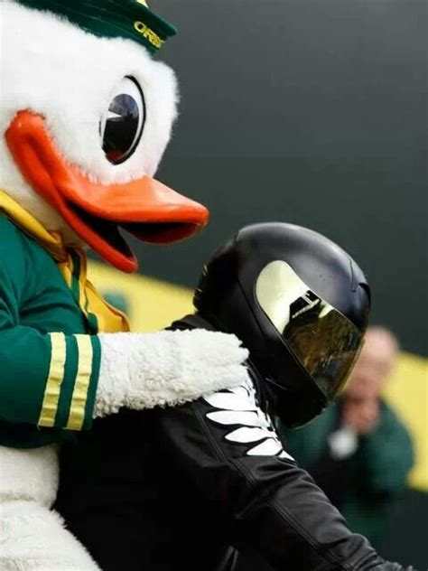 Duck Riding In On Harley Ducks Football Football Games University Of