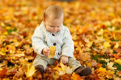 Boy Sitting In Park In Fall Free Stock Photo Public Domain Pictures