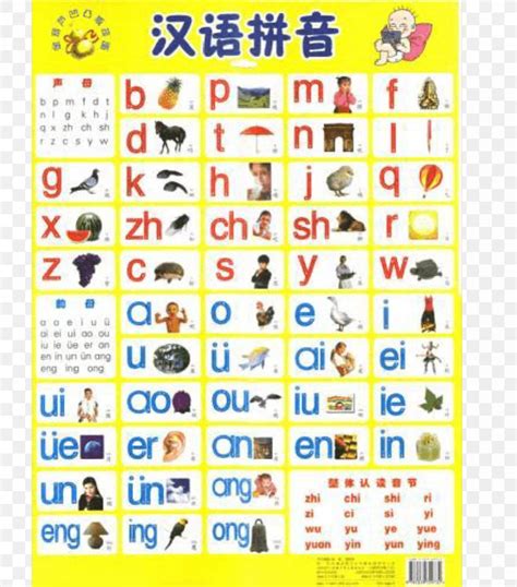 Pinyin Syllable Onset Standard Chinese Alphabet Png 893x1015px
