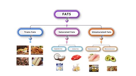 Top 160 Animal Fat Saturated Or Unsaturated
