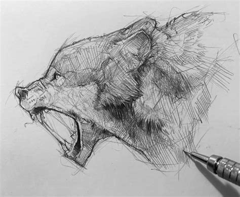 Pencil Sketch Artist Efraín Malo Artwoonz Dibujo De Animales Arte