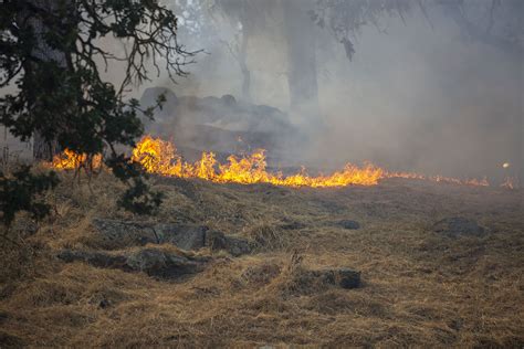 10 Acres Burn In Brush Fire Atascadero News