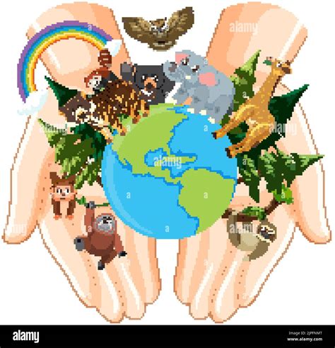 Wild Animals Around The World Illustration Stock Vector Image And Art Alamy