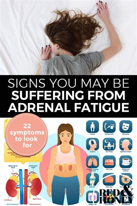 Signs You Might Be Suffering From Adrenal Fatigue Adrenal Fatigue Adrenals Adrenal Health
