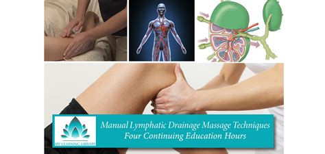 Manual Lymphatic Drainage Massage Techniques Four Continuing Education