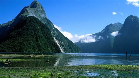 5 Five 5 Milford Sound New Zealand