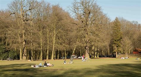 Eén met nog meer bomen, herkenbaar aan de twee belangrijkste bezienswaardigheden: Une information judiciaire ouverte sur la chasse au ...
