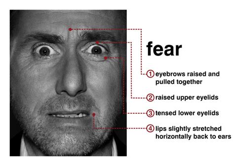 How To Read Micro Facial Expressions Your Life Your Career Your Future