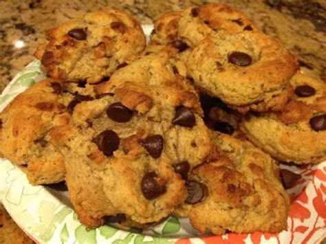 Not only will you be getting your fiber fill for that day, but we've used it in breads and cookies also and it never ceases to amaze us. Low Carb Low Sugar High Protein Chocolate Chip Cookies ...