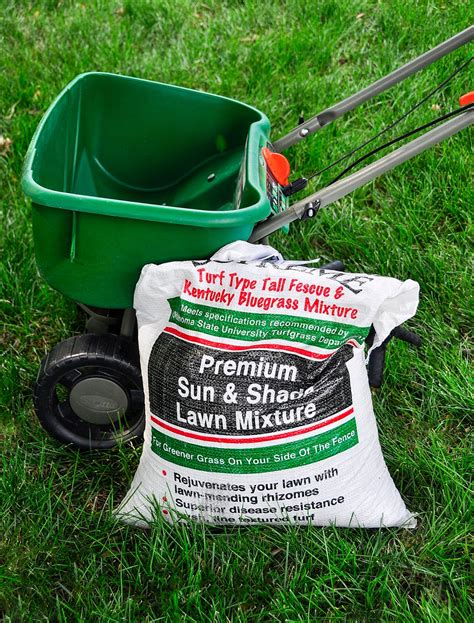 Water is an essential element when it comes to new seed growth yet we find that many homeowners are unclear on exactly how much water their lawn needs or how to properly perform this service. Ask A Master Gardener: Fall Reseeding of Tall Fescue