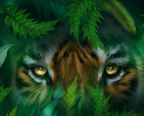 Eyes Of The Tiger Hiding Fern Green Wild Tiger Eyes Hd Wallpaper