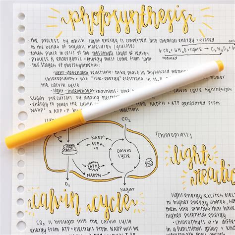 Aesthetic Cute Note Taking Templates
