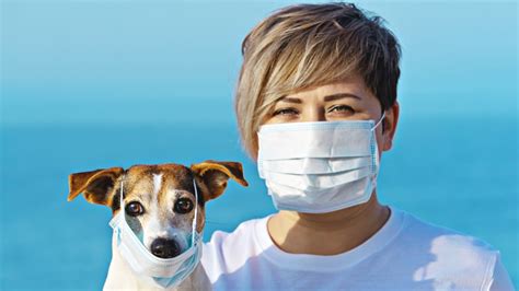 Parvovirus in an extremely serious and highly contagious viral infection affecting dogs. Can dogs and cats get the coronavirus?