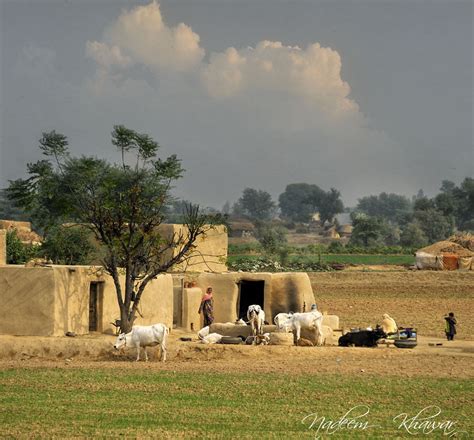 a village of punjab rural life of a village in punjab pa… nadeem khawar flickr