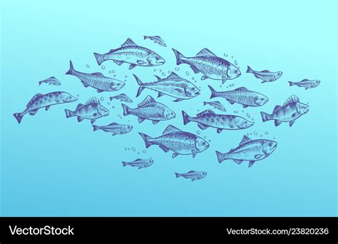 Fish School Fishes Group Hand Drawn Sketch Vector Image