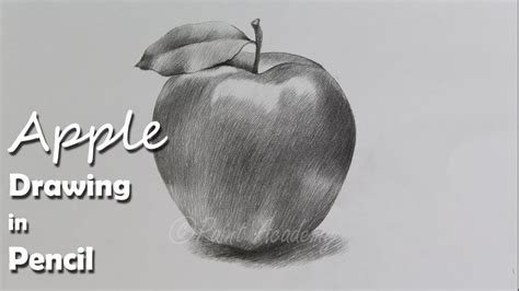 How To Draw An Apple In Pencil Step By Step How To Use Pencil Strokes