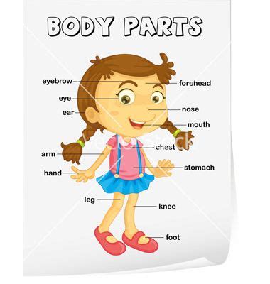 Check spelling or type a new query. diagram for kids - Google Search | Teaching | Pinterest ...