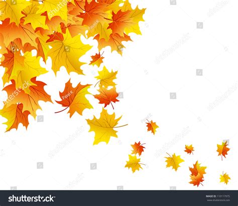 Autumn Maples Falling Leaves Background Stock Photo 110117975