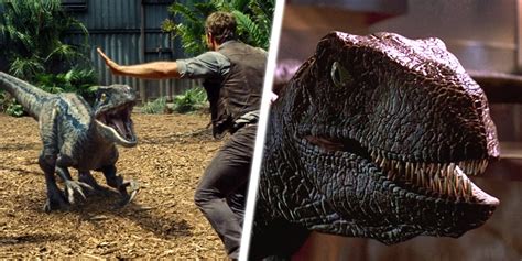 Jurassic Parkworld The 10 Best Scenes Featuring Velociraptors Ranked