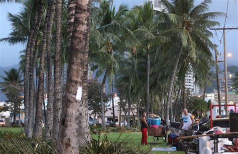 Denby Fawcett Myths About Homelessness In Hawaii