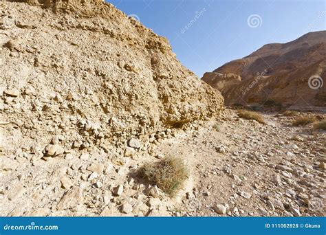 Stone Desert In Israel Stock Photo Image Of Holy Ecology 111002828
