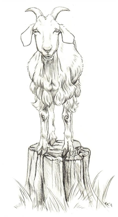 Goat Sketch By Beccapearl In 2022 Goat Art Animal Paintings Animal