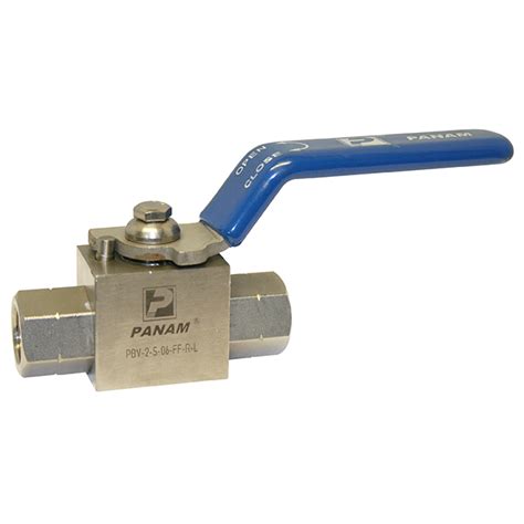 Stainless Steel Ball Valve Screwed Bspp Steel Lever Operated