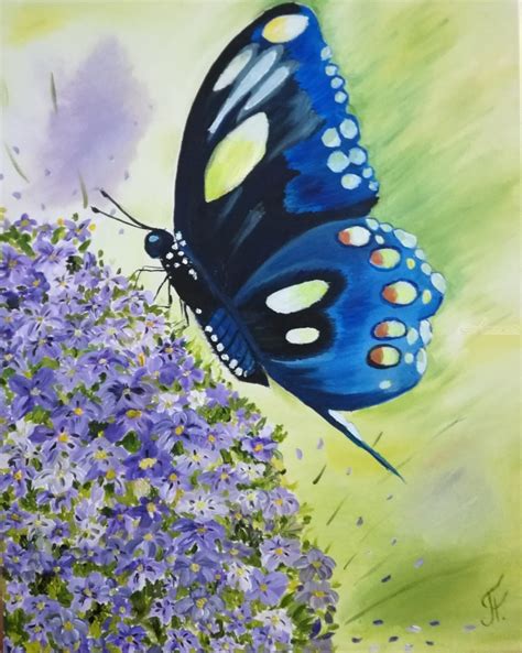 Original Oil Painting Butterfly Paintings By Nataliia Plakhotnyk