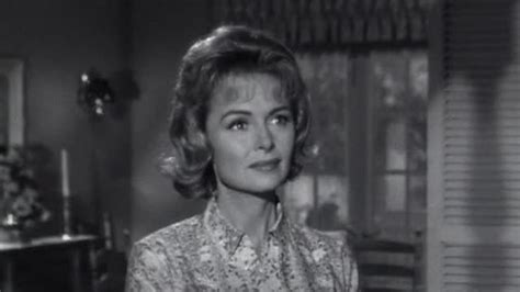 Watch The Donna Reed Show S04e09 The Electrical Storm Free Tv Tubi
