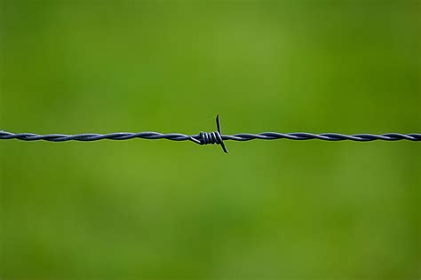 Barbed Wire Near on Green Surface · Free Stock Photo