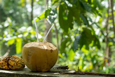 Young Coconut Information Nutrition Benefits And Uses Tandl Coconut