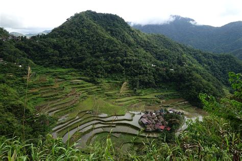 Exploring The Philippines Cordilleras Rice Terraces
