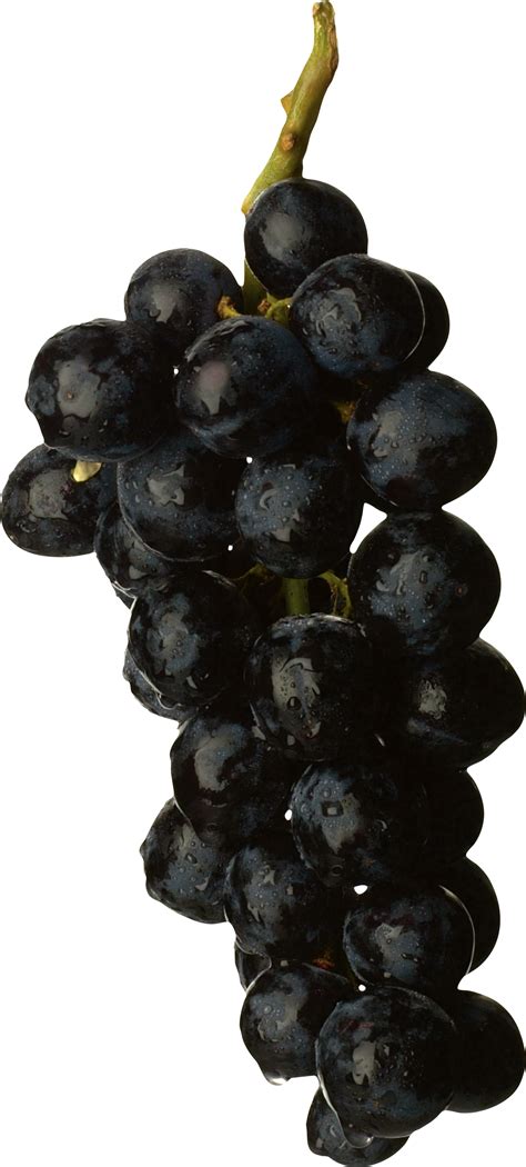 Черный виноград Png фото
