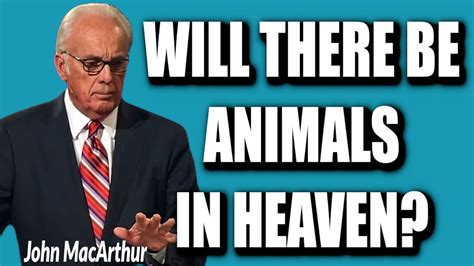 John Macarthur Will There Be Animals In Heaven Youtube