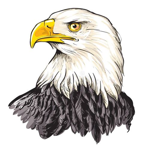 Bald Eagle Cartoon Vector Illustration Of Bald Eagle Haliaeetus