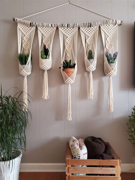 Hanging Macrame Planters With Succulents And Potted Plants