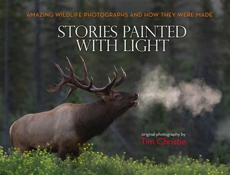 Info Stories Painted With Light Tim Christie Outdoor Writer