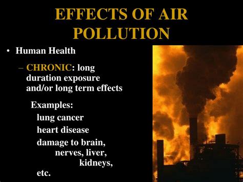 Effects Of Air Pollution