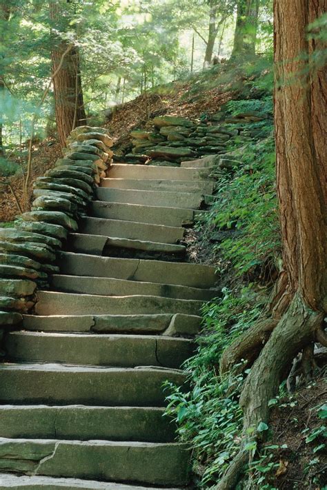 Anyone have a good method to making a spiral staircase? How to Build a Spiral Staircase Around a Tree | Hunker