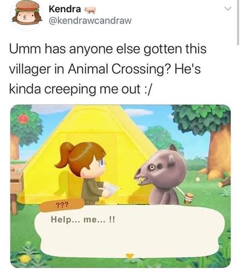 An Animal Crossing Meme With The Caption That Reads Umm Has Anyone