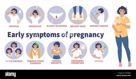 Early Signs And Symptoms Of Pregnancy Vector Infographic Morning Sickness Mood Swings Nausea