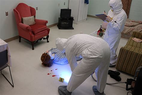 Mock Crime Scene A Learning Environment For Forensics Students Dailynews