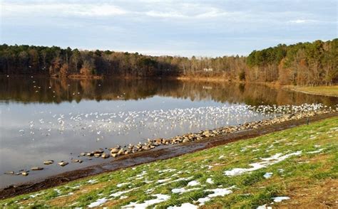 Explore Lake Crabtree County Park Sail Fish Bike Or Hike