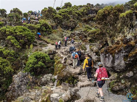 How Long Does It Take To Climb Mount Kilimanjaro