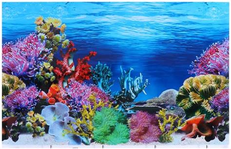 Aquarium Background 3d Poster Coretan