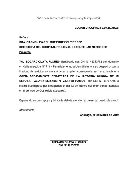 Solicitud Informe Medico Hospital Las Mer Pdf