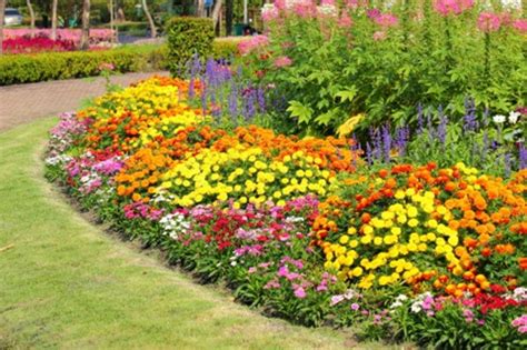 Perennial Flower Bed Designs For A Garden That Resembles